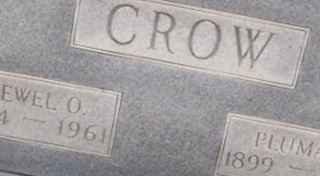 Pluma H Crow