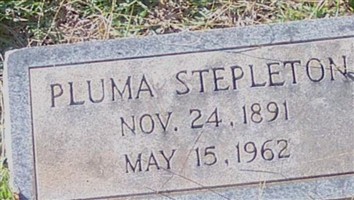 Pluma Stepleton Pluma Stepleton