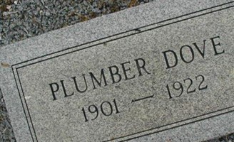 Plumber Dove