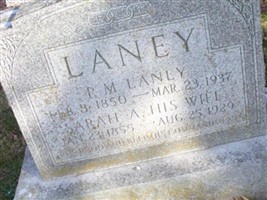 P. M. Laney
