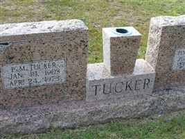 P M Tucker