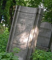 Pola Birnbaumowva Pola Birnbaumowva