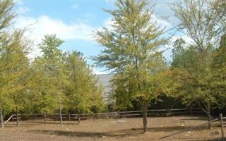 Polk Family Cemetery