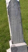 Polly Ann Moore Owings