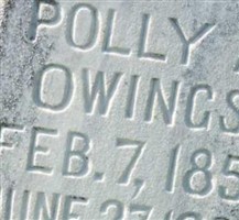 Polly Ann Moore Owings
