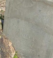 Polly Baird Nash