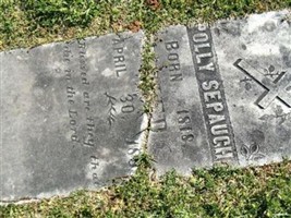 Polly Sepaugh