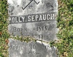 Polly Sepaugh