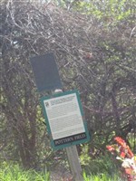 Potters Field
