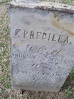 Precilla DeCamp