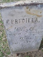 Precilla DeCamp