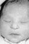 Precious Nichole "Spike" Lewis
