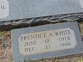 Prentice A White Prentice A White