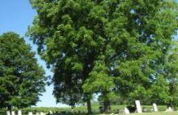 Old Presbyterian Cemetery (on Daggett Farm Rt 7)