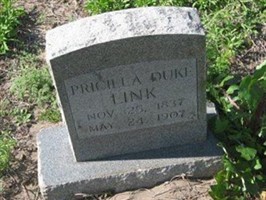 Pricilla Duke Link Pricilla Duke Link