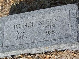Prince Steen