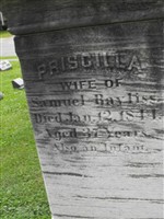 Priscilla Bayliss Priscilla Bayliss