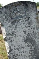 Priscilla C Wheaton Priscilla C Wheaton