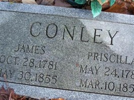 Priscilla Conlee