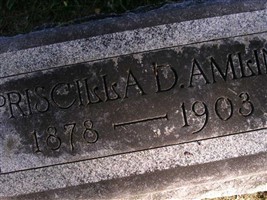 Priscilla D Amlin Priscilla D Amlin