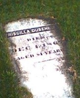 Priscilla Dusenbury Priscilla Dusenbury