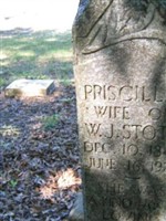 Priscilla J Leavins Stott