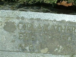 Priscilla Katherman