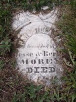 Priscilla M Morey