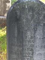 Priscilla Read Bland