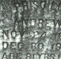 Priscilla Trant Andrews Priscilla Trant Andrews
