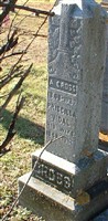 Priscilla Vidal Cross