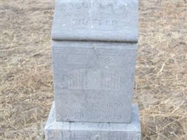 Priscilla Wilson Moore Shaffer Priscilla Wilson Moore Shaffer