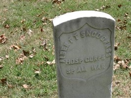 Private Albert T Snodgrass Private Albert T Snodgrass