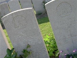 Private Alfred Edward Reynolds Private Alfred Edward Reynolds