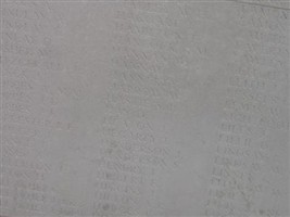 Private Charles Thomson Private Charles Thomson