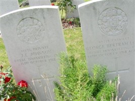 Private George Bertram Lowe Private George Bertram Lowe