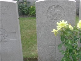 Private Herbert Thorpe Private Herbert Thorpe