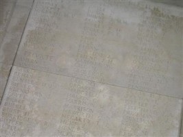 Private Joseph Chilton Ridley