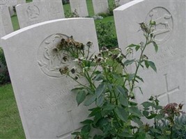 Private R Simkins Private R Simkins