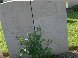 Private William Henry Burt
