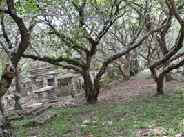 Protestant Cemetery