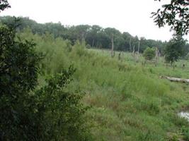 Purvis Cemetery