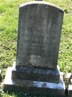Pvt Albert Burnley Botts, Sr Pvt Albert Burnley Botts, Sr