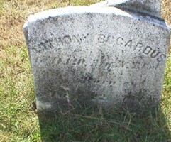 Pvt Anthony Bogardus Pvt Anthony Bogardus
