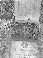 Pvt. B. F. Ogletree