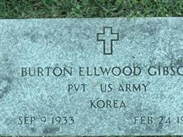 Pvt Burton Ellwood Gibson