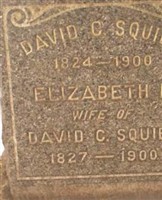 Pvt David C. Squibb Pvt David C. Squibb