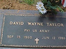 Pvt David Wayne Taylor