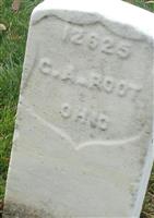 Pvt George A. Root