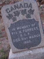 Pvt Harry Essex Forrest Pvt Harry Essex Forrest